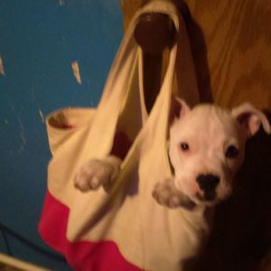 Meet your Posher, Jackie